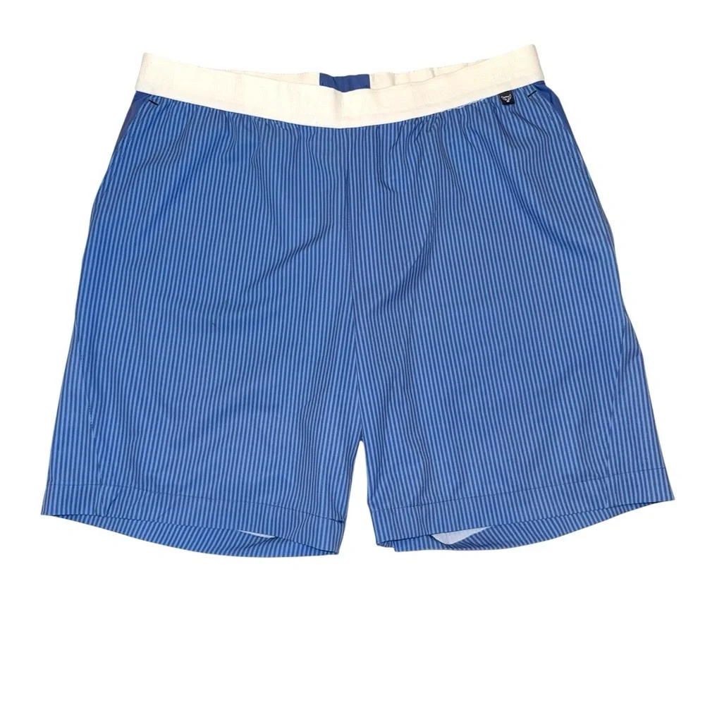 Remington Reynolds Men’s Hybrid Active Shorts Blue Stripes Size Large